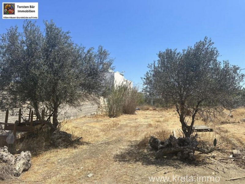 Pitsidia (Komos) Kreta Pitsidia Baugrundstück in dem beliebten Dorf Pitsidia zu verkaufen Grundstück kaufen